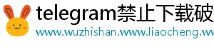 telegram禁止下载破解手机访问